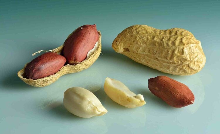 El fruto seco que supera a las almendras y nueces: adiós al colesterol