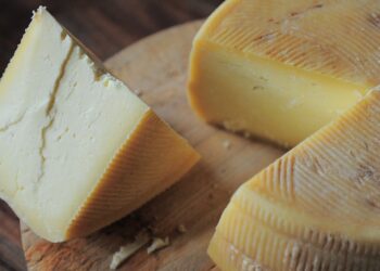 Advertencia urgente de los neurólogos: estos son los efectos en el cerebro si no eliminas el queso de la dieta