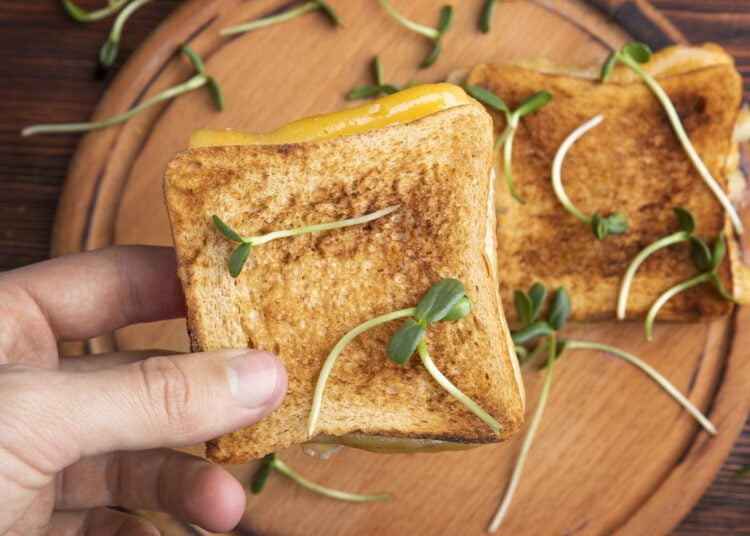 Pan tostado con queso