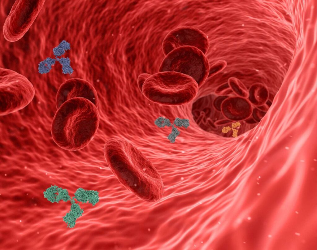 Tensión arterial