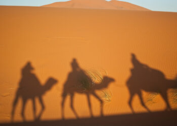 Reyes Magos, Desierto, Fiestas