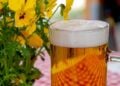Ni a los 30 ni a los 40: la edad a la que deberías dejar de beber cerveza según un neurólogo