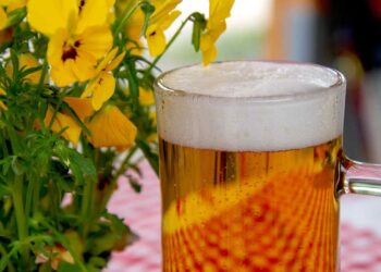 Ni a los 30 ni a los 40: la edad a la que deberías dejar de beber cerveza según un neurólogo