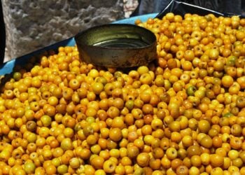 El secreto para una piel joven está en esta fruta que es puro oro: produce colágeno y acaba con las arrugas