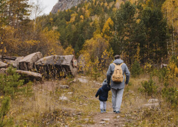 Caminata, naturaleza, éxito, padre e hijo