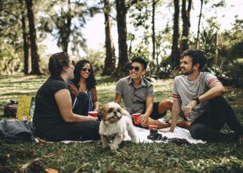Amigos, parque, charlando, riendo, inteligencia emocional