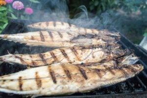 Adiós al salmón: éste es el pescado que nadie toma en España y que es muchísimo mejor