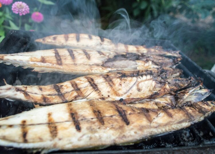 Adiós al salmón: éste es el pescado que nadie toma en España y que es muchísimo mejor