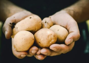 Un experto en longevidad de 102 años avisa a España sobre comer patatas: esto es lo que ha dicho