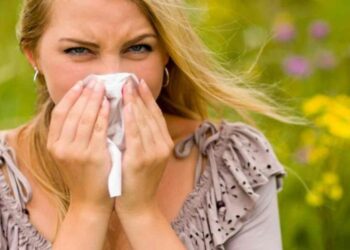 Qué árboles nos dan alergia: 7 plantas de las que debemos mantenernos alerta en primavera