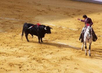 Corrida de toros, tauromaquia, psicología