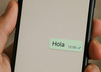 Mensajes de WhatsApp, Visto, Check