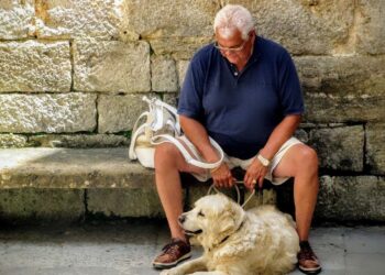 Razones por las que perdemos memoria a partir de los 60 años, por qué tenemos lagunas mentales en la vejez, cómo prevenir los lapsos mentales cuando somos mayores, experta da un consejo para mejorar la salud mental.