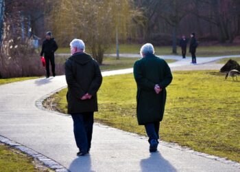 Mejor hábito diario para mejorar la salud cardiovascular en mayores, mejor ejercicio para entrenar mayores de 60 años, mejores hábitos saludables en mayores de 65 años.