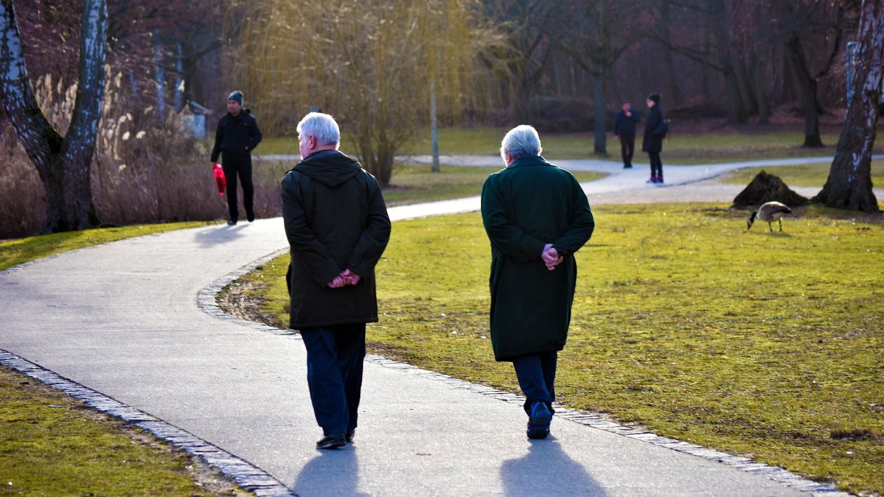 Mejor hábito diario para mejorar la salud cardiovascular en mayores, mejor ejercicio para entrenar mayores de 60 años, mejores hábitos saludables en mayores de 65 años.