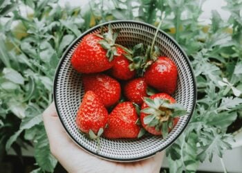 El experto en longevidad Manel Esteller desvela la sustancia natural que retrasa el envejecimiento