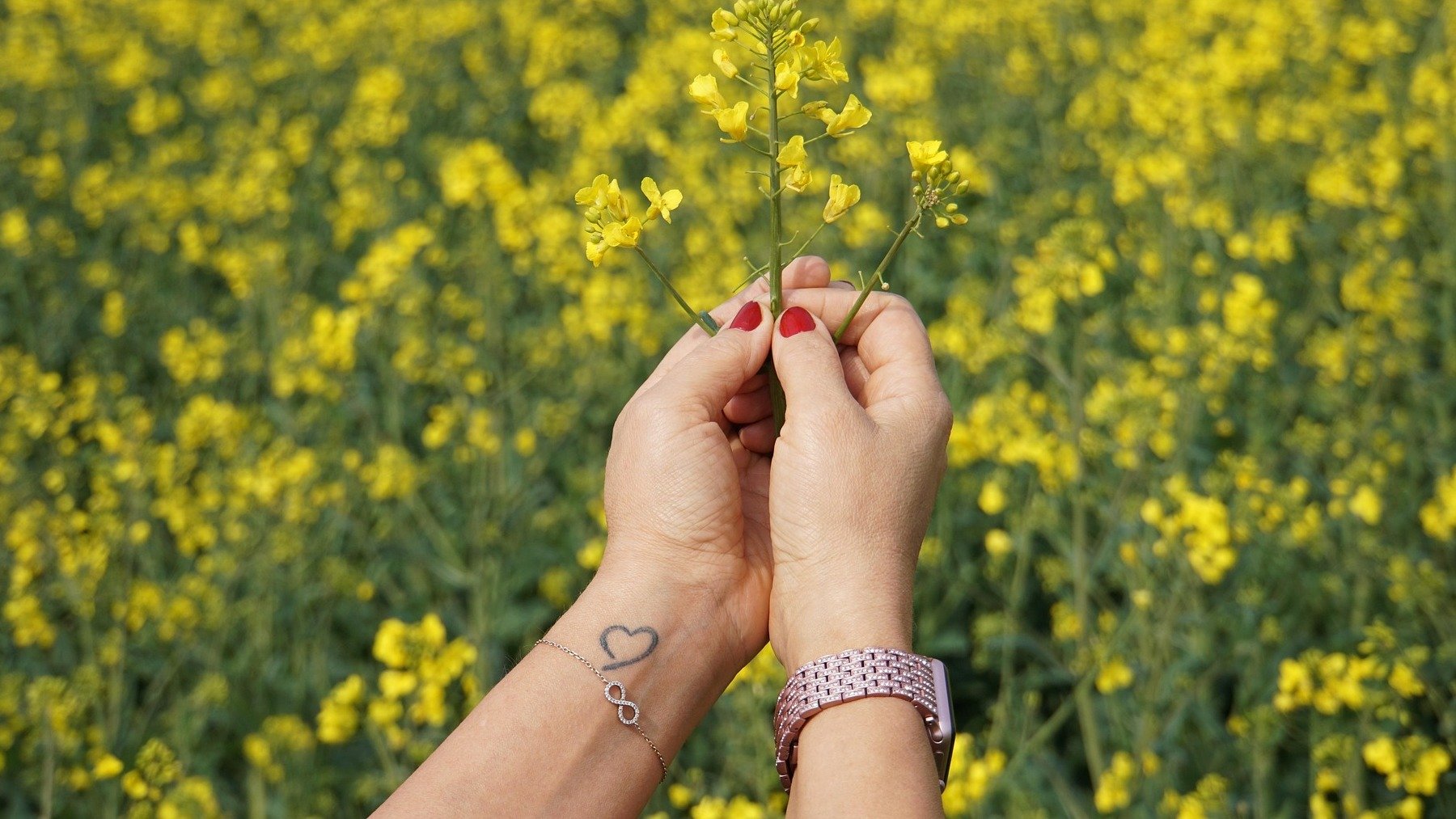 La psicología explica el significado de llevar un tatuaje en la muñeca, significado psicológico de los tatuajes en la muñeca, cuál es el significado de llevar un tatuaje en la muñeca para los psicólogos, explicación psicológica de tatuarse la muñeca.