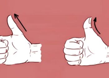 Test de personalidad, psicología, curiosidades