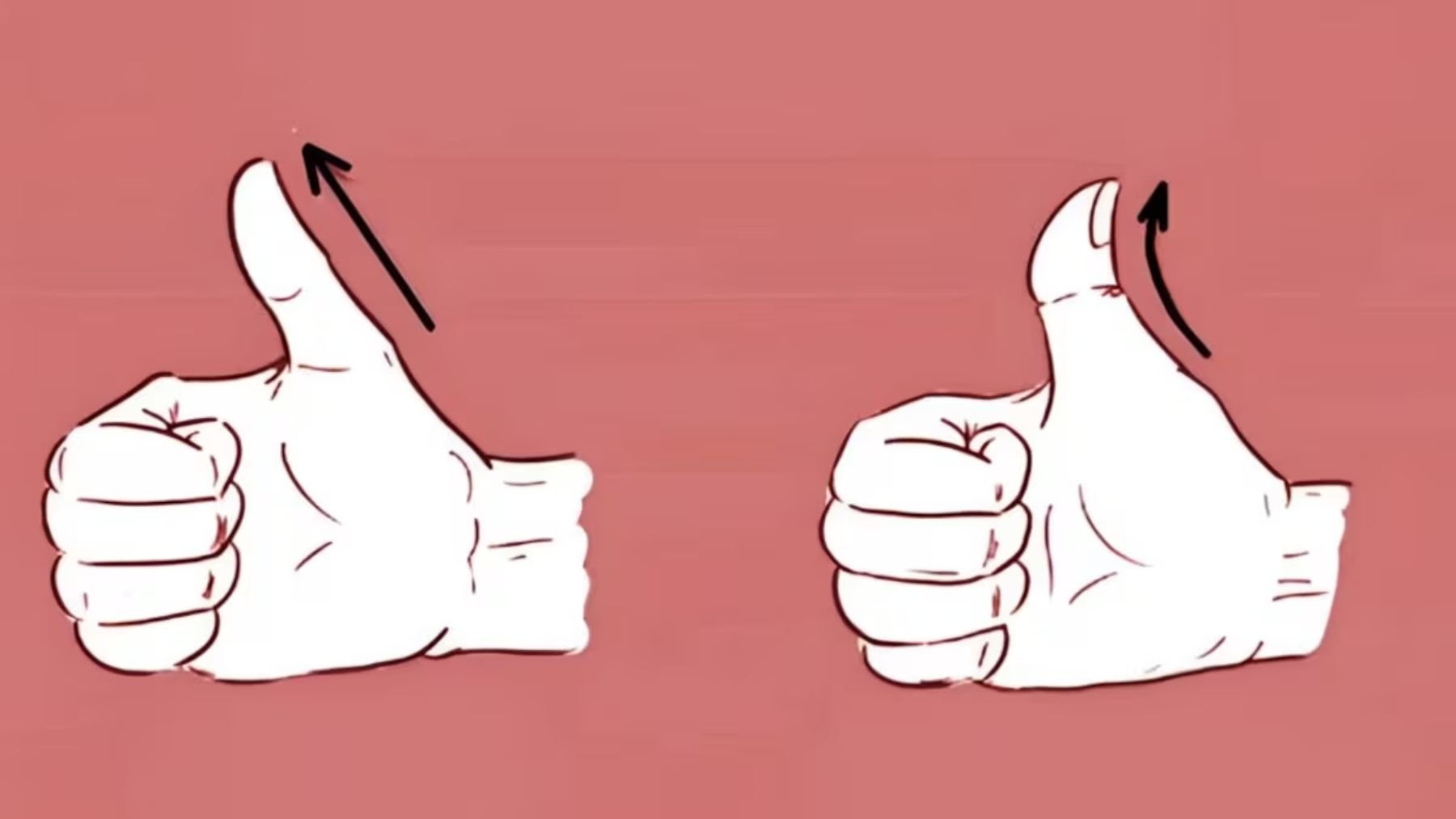 Test de personalidad, psicología, curiosidades