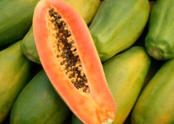 Ni la naranja ni el melón: la fruta que te ayuda a limpiar el colon de forma natural