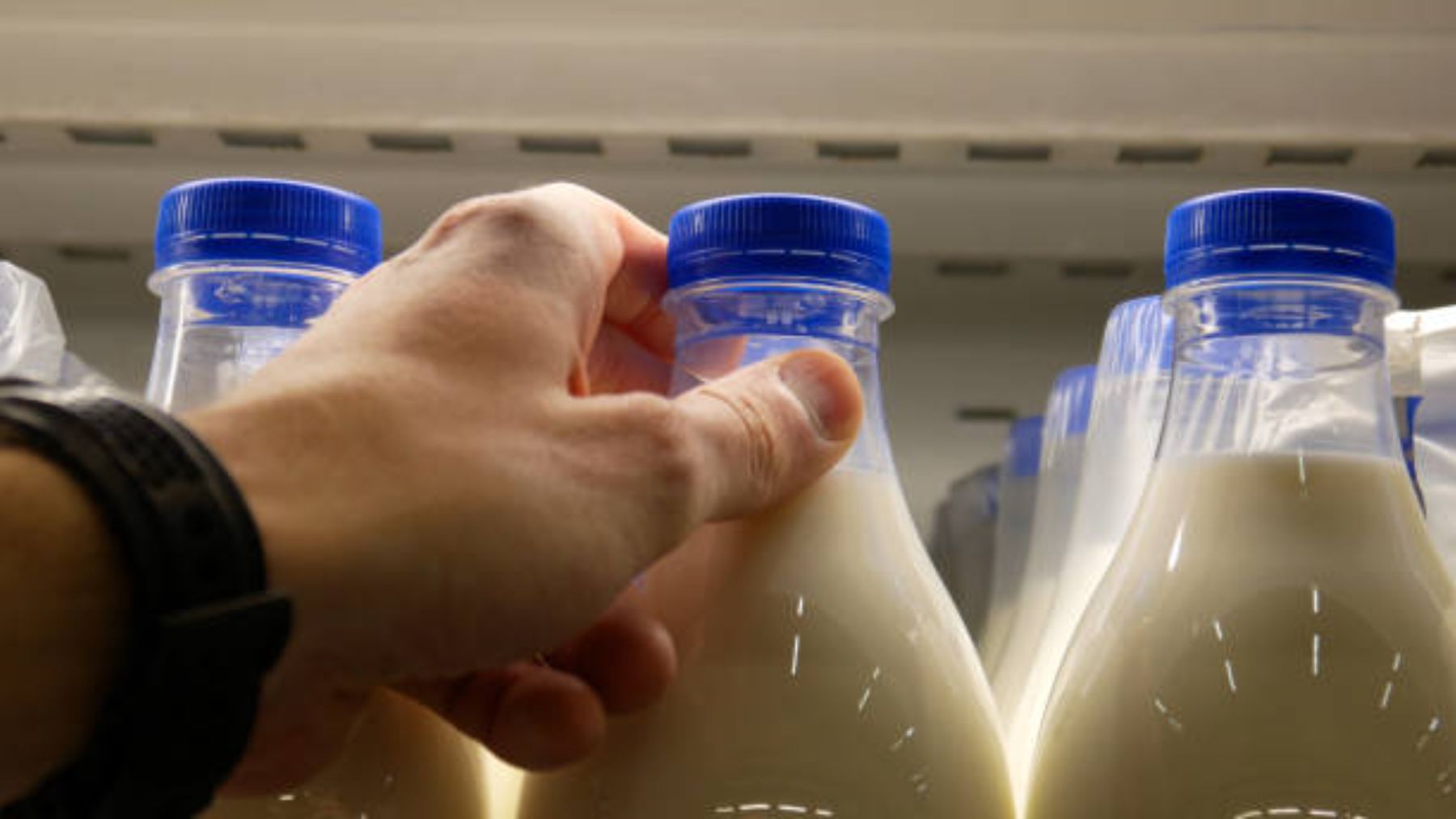 leche diabetes