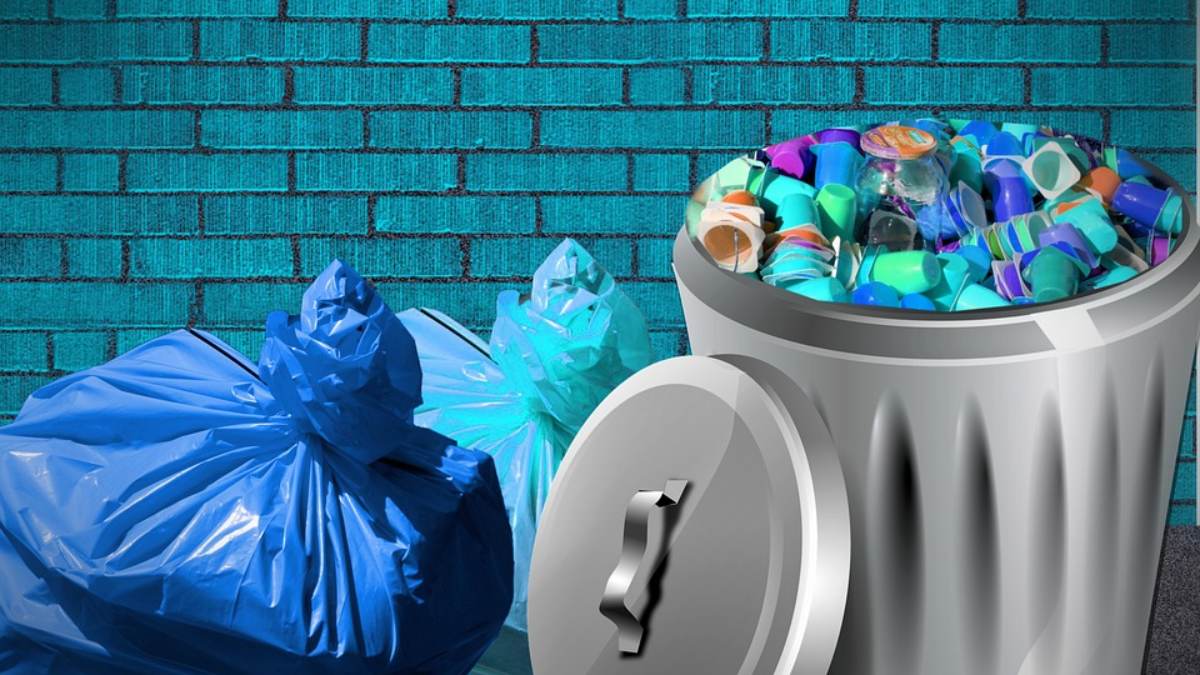 bolsas de plastico