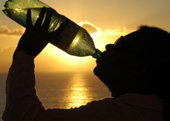 Cuánta agua hay que beber en verano si eres de la tercera edad, mantenerse hidratado si tienes más de 65 años, peligros de la deshidratación por calor, cuántos vasos de agua beber al día.