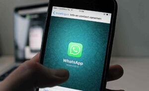 Las personas que guardan silencio en los grupos de WhatsApp es por este motivo: la psicología lo confirma