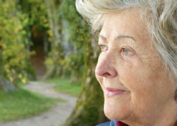 Mejor hobby para evitar deterioro cognitivo en la tercera edad, parar problemas de cabeza siendo jubilado, mejor pasatiempo de la tercera edad, hobby perfecto mayores.