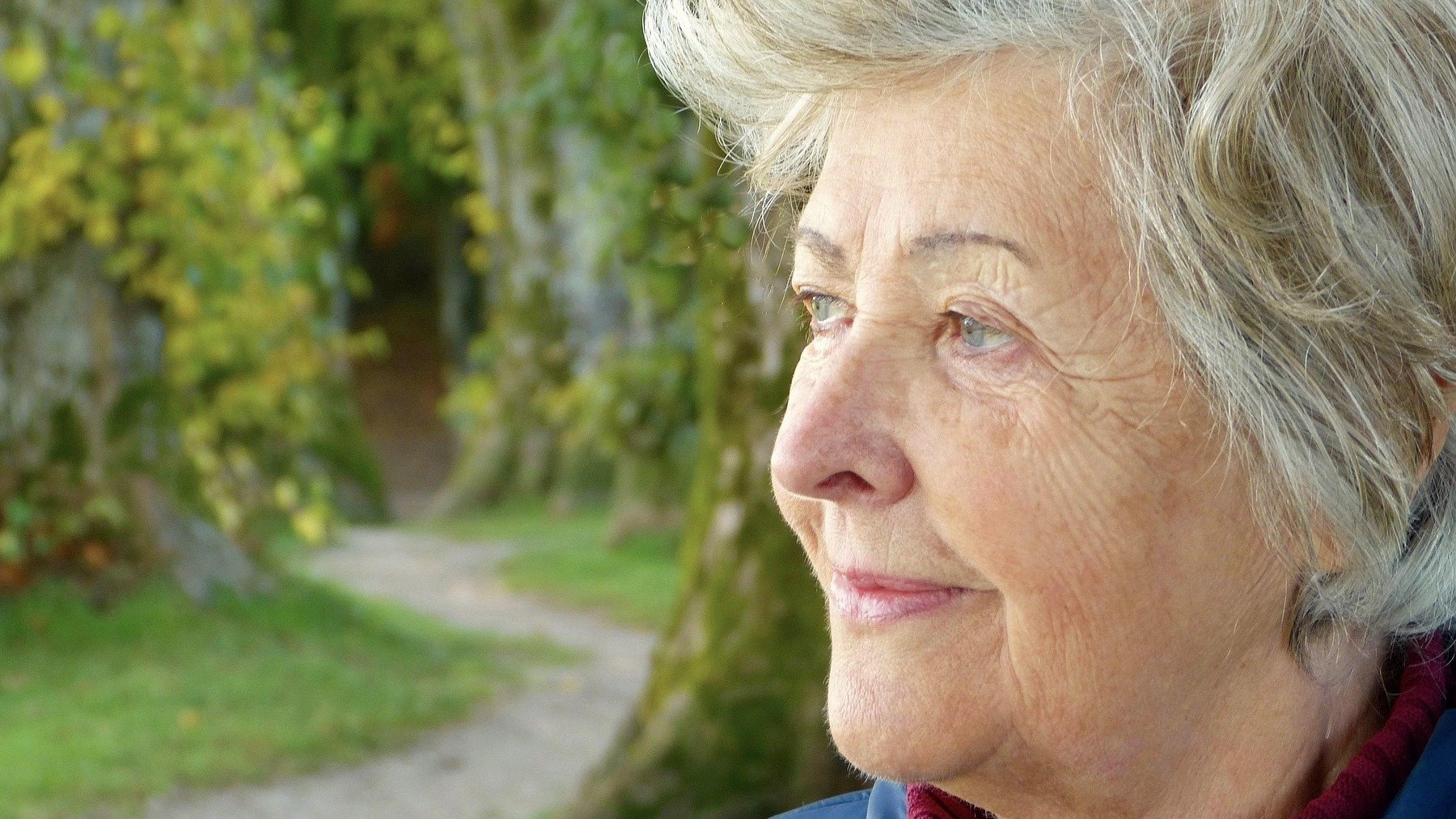 Mejor hobby para evitar deterioro cognitivo en la tercera edad, parar problemas de cabeza siendo jubilado, mejor pasatiempo de la tercera edad, hobby perfecto mayores.