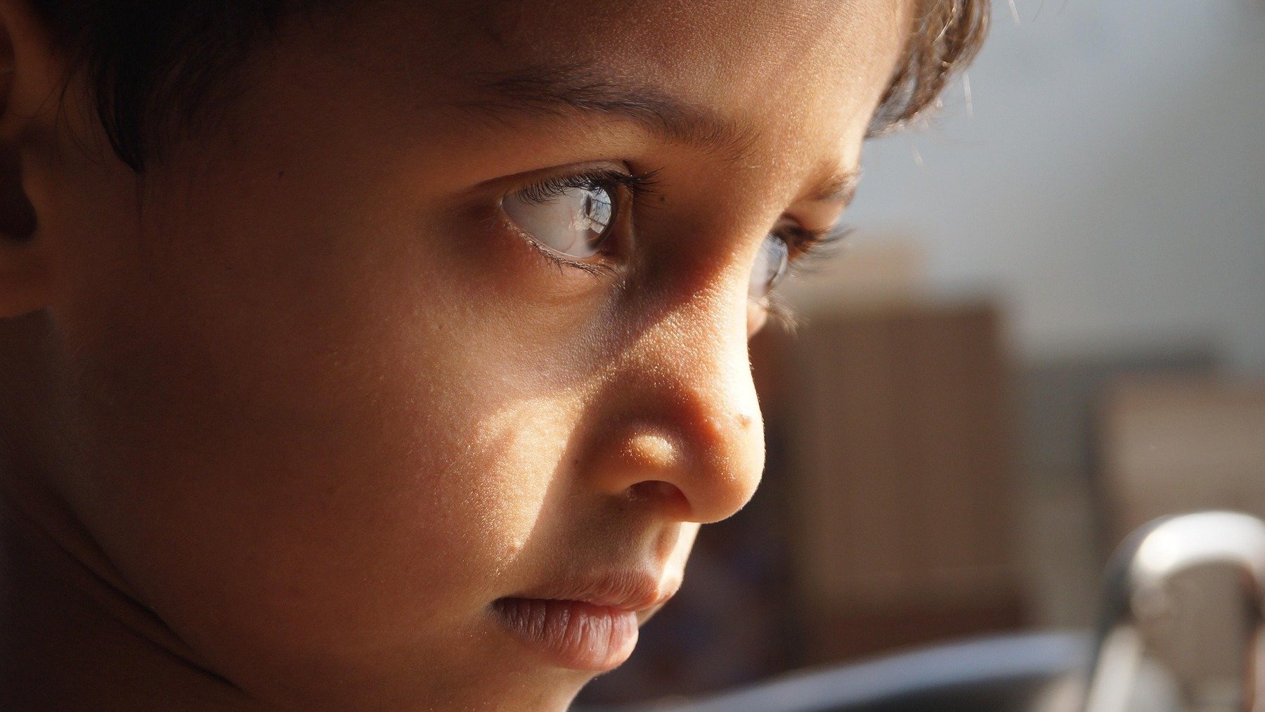 Si tu hijo dice esta frase lo estáis haciendo bien como padres, por qué es importante que los hijos se disculpen, frases buenas de los hijos, señales de que estás educando bien a tu hijo.