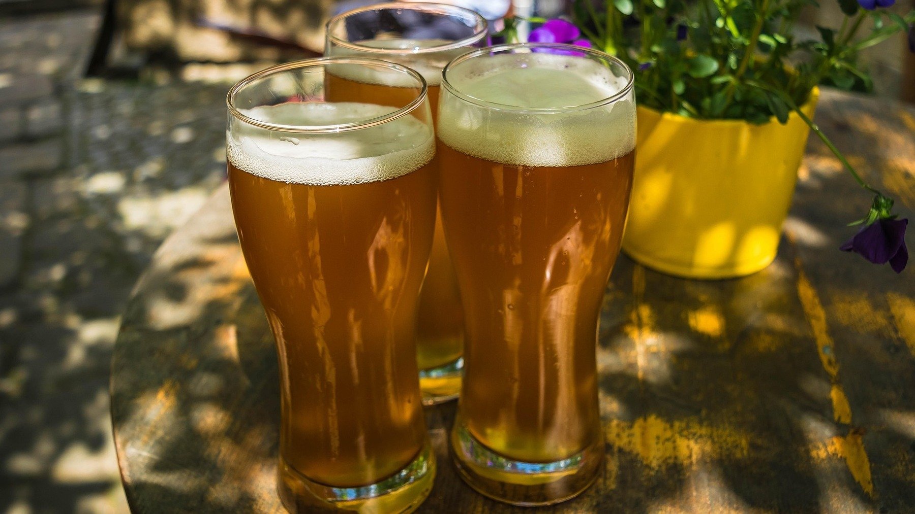 La costumbre común de cualquier español, influencer sobre los españoles, qué características comunes tenemos en España, influencer sobre España, beber cerveza por la mañana para los españoles, horarios de los españoles.