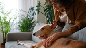 Qué significa que una persona acaricie siempre a cualquier perro que ve: la psicología lo explica