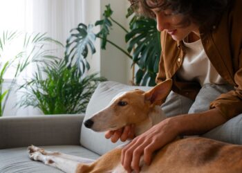 Perro, psicología, curiosidades