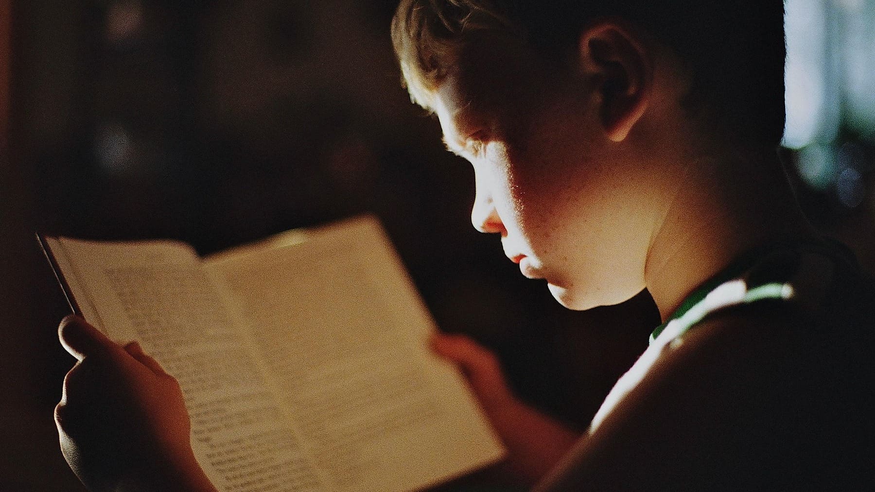 Cómo entrenar la memoria fotográfica, hábitos desarrollo de memoria fotográfica, memoria fotográfica, cómo mejorar la memoria fotográfica, entrenar la memoria, cómo conseguir memoria fotográfica.