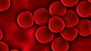 Ni suplementos ni mitos: lo que sucede realmente en tu cuerpo si tomas creatina de forma continuada