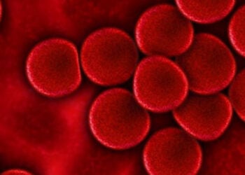 Ni suplementos ni mitos: lo que sucede realmente en tu cuerpo si tomas creatina de forma continuada