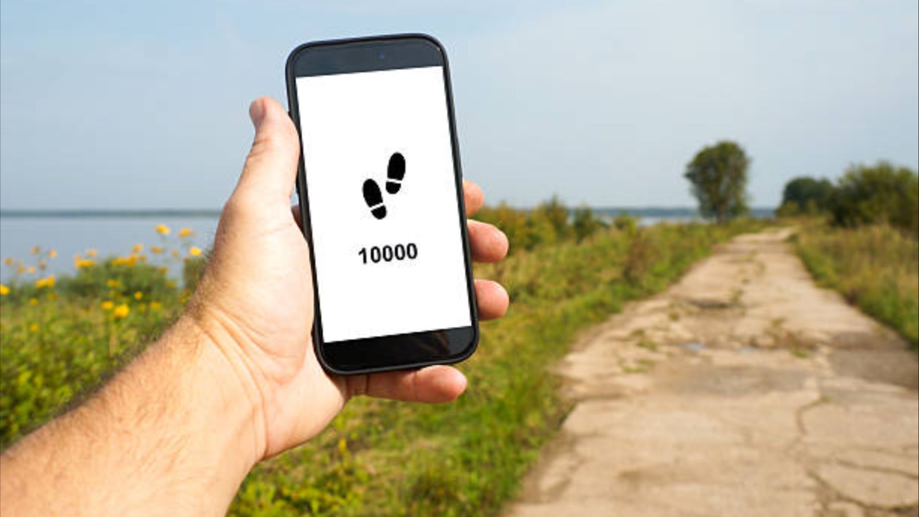 caminar 10.000 pasos