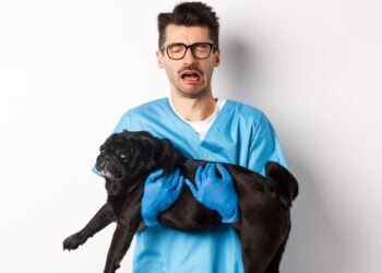 Veterinarios, salud mental, psicología