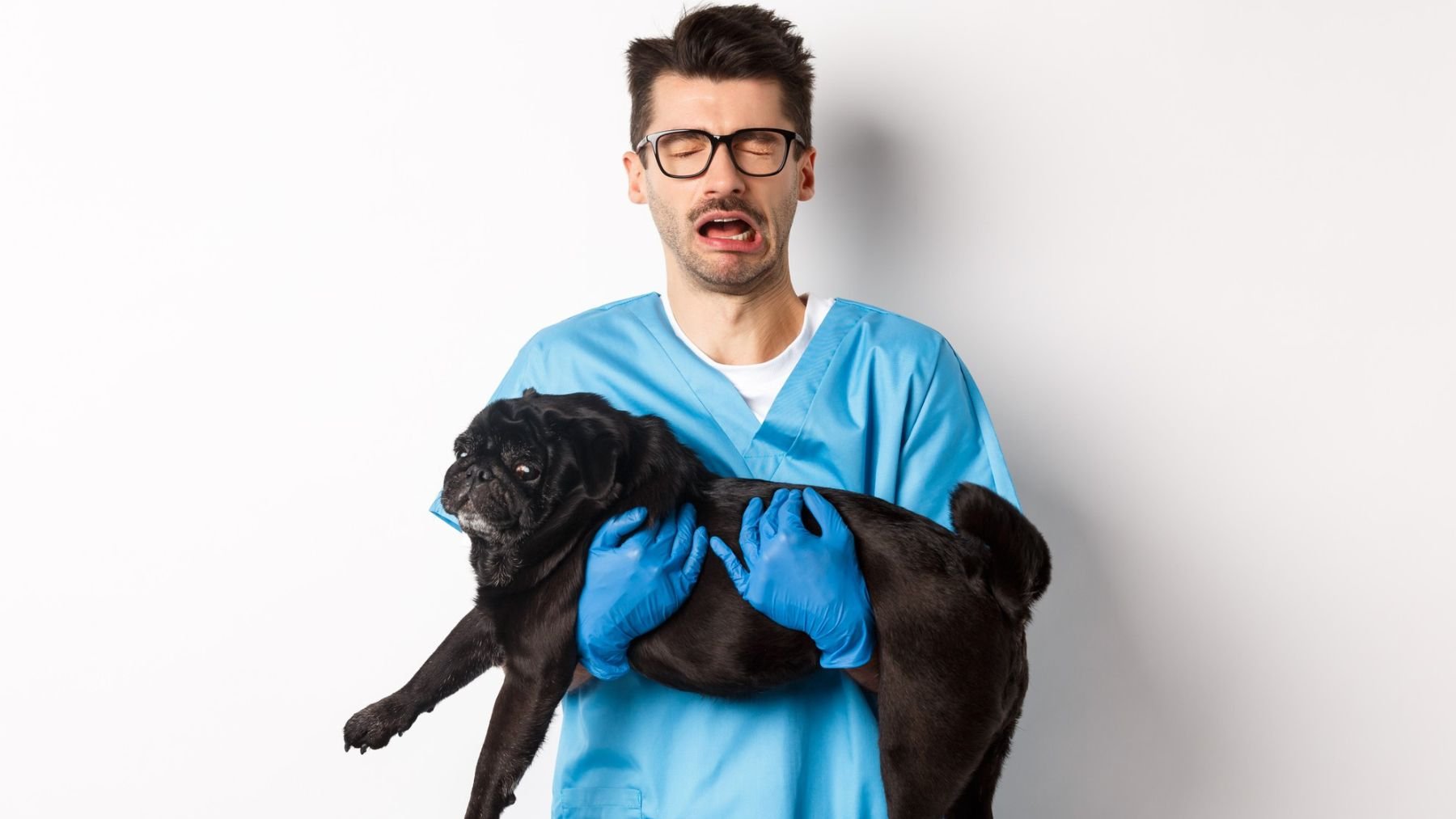 Veterinarios, salud mental, psicología