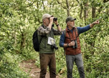 Hombres, declive cognitivo, actividades