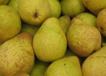 La alternativa al plátano que tiene más fibra y es mejor para la digestión