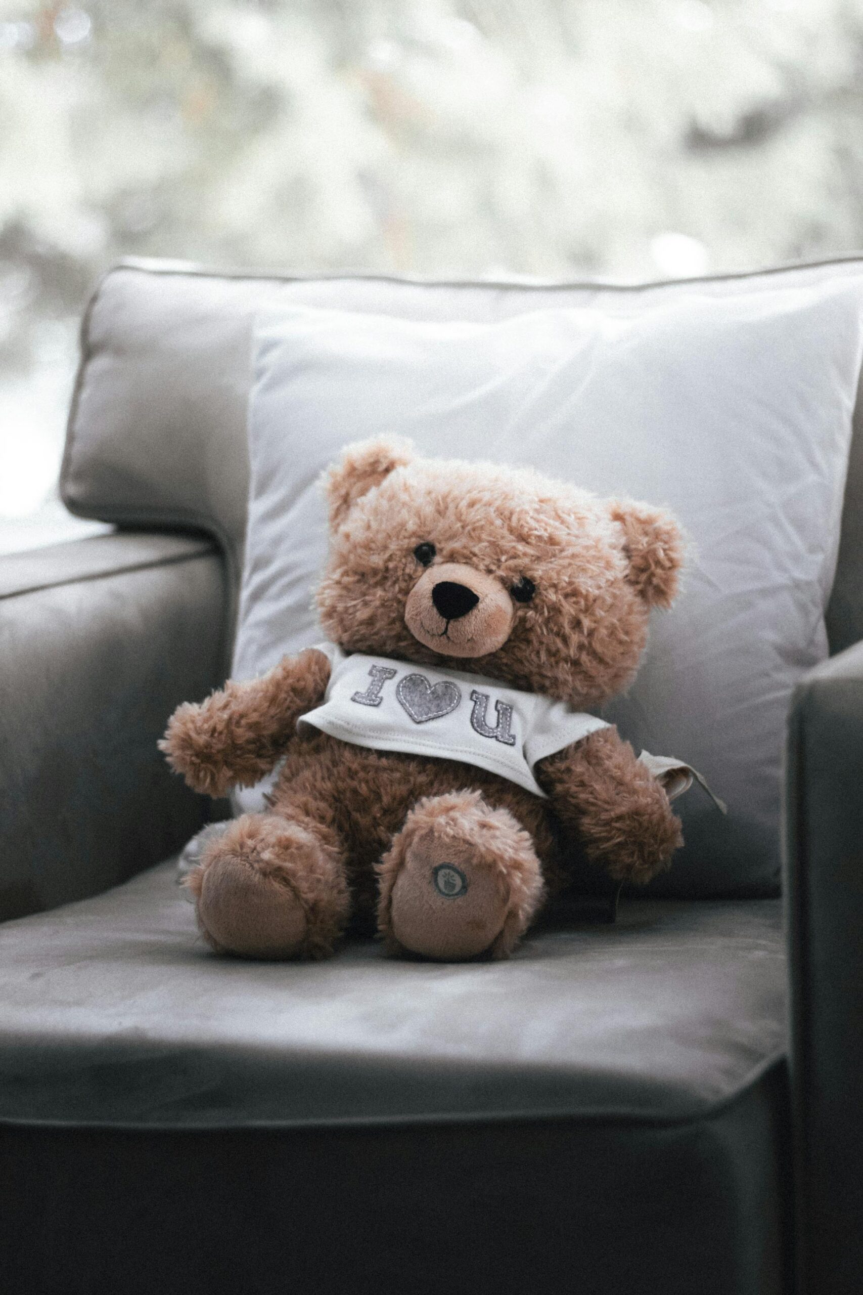 peluche scaled