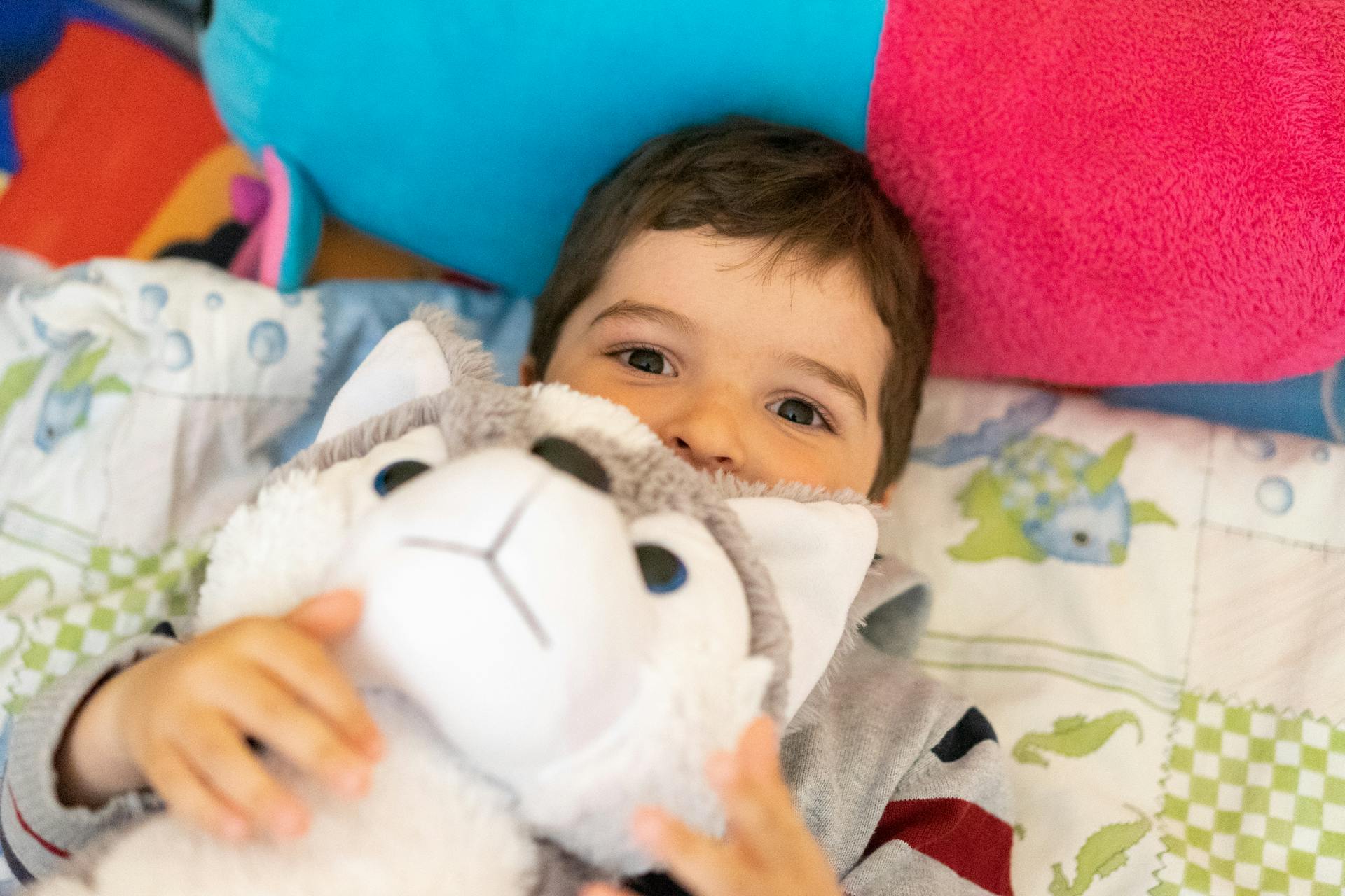 peluche2
