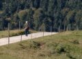 Ni footing ni marcha nórdica: el tipo de caminata más eficaz para mantenerse activo sin castigar al cuerpo que avalan los expertos