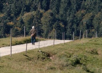 Ni footing ni marcha nórdica: el tipo de caminata más eficaz para mantenerse activo sin castigar al cuerpo que avalan los expertos