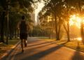 Hombre, deporte, ejercicio