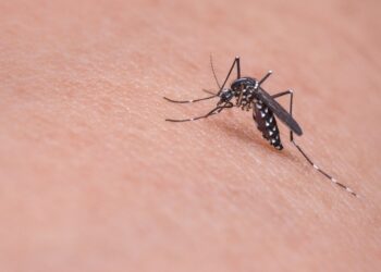 Un pequeño hábito que te ayudará a evitar muchas picaduras de mosquitos este verano