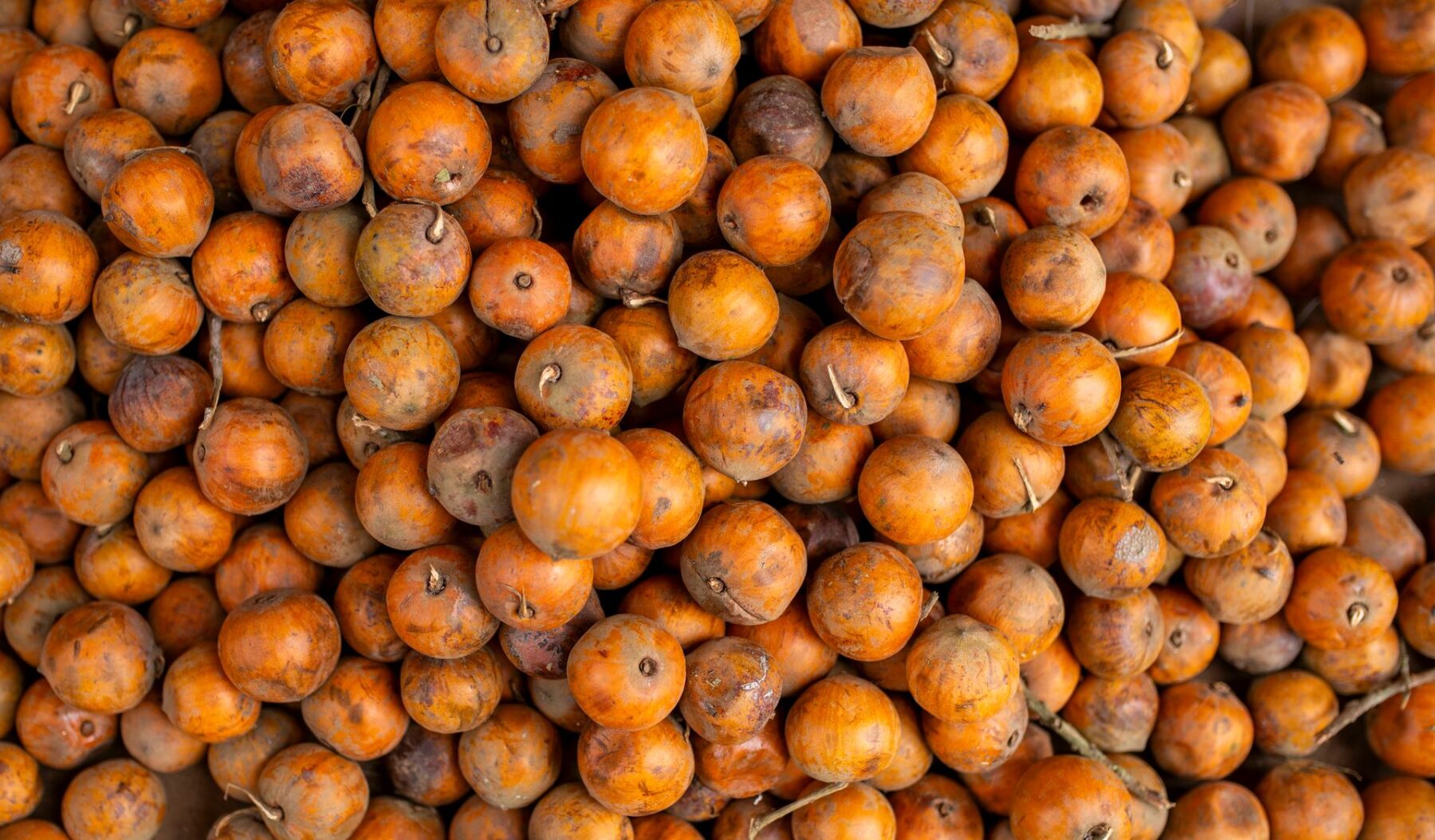 El 'superalimento' que sustituye al azúcar y es bueno para la salud intestinal