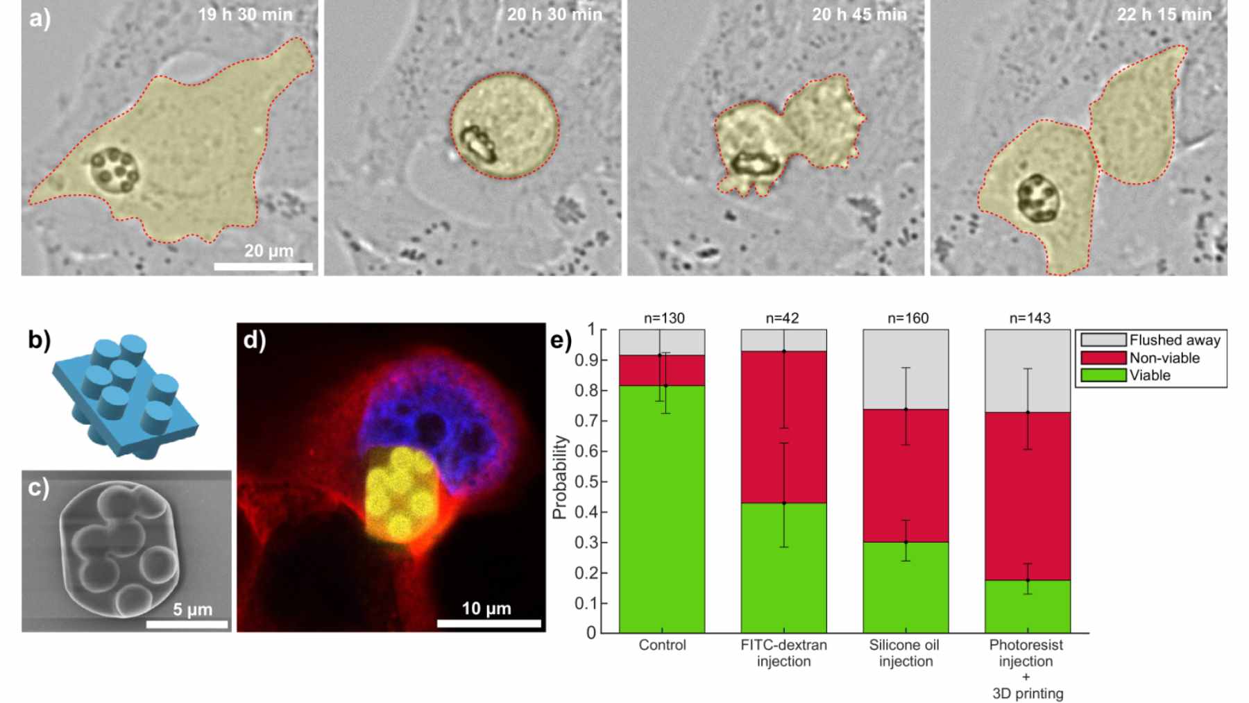 A microscopic 10-micrometer elephant 3D printed inside the cytoplasm of a living HeLa cell using two-photon polymerization.